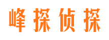 枞阳找人公司